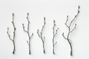 Broches Brindilles en bronze émaillé (photo Johannes Zappe)