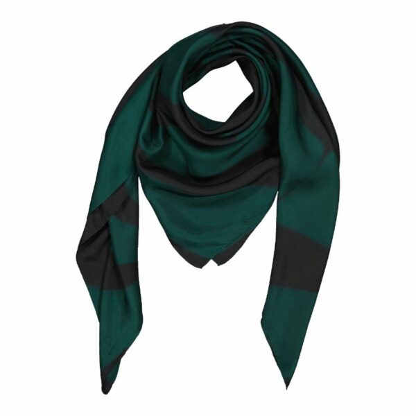 Foulard Circus Vert et Noir – Image 2